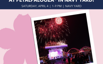 Costas Colectivos, Navy Yard